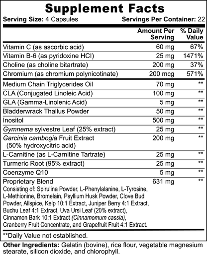 Wortex MCT Thermogenic Complex - Wortex Nutrition